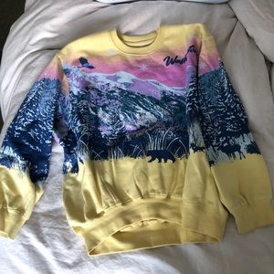 Urban outfitters Washington sweatshirt